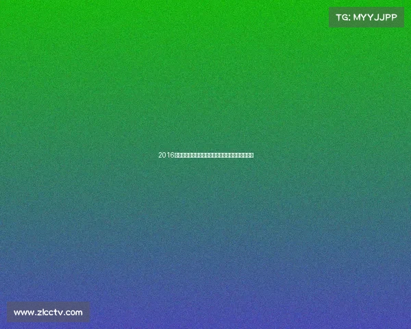 2016广州跑步嘉年华激情开跑全民健康奔跑盛会相聚羊城